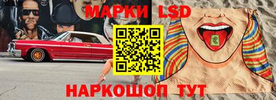 СК Кингисепп