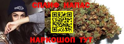 СК Кингисепп