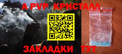 СК Кингисепп