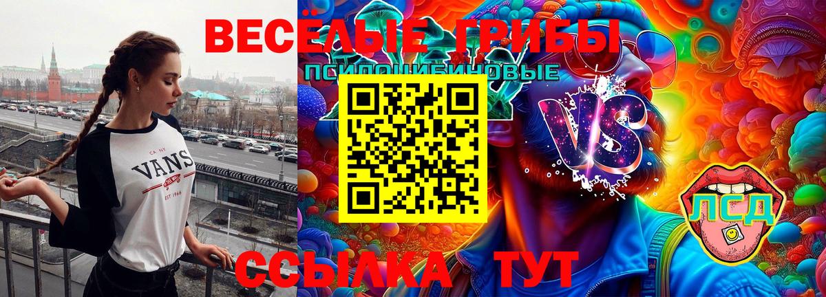 Галлюциногенные грибы Cubensis  Вход с VPN  Кандалакша 