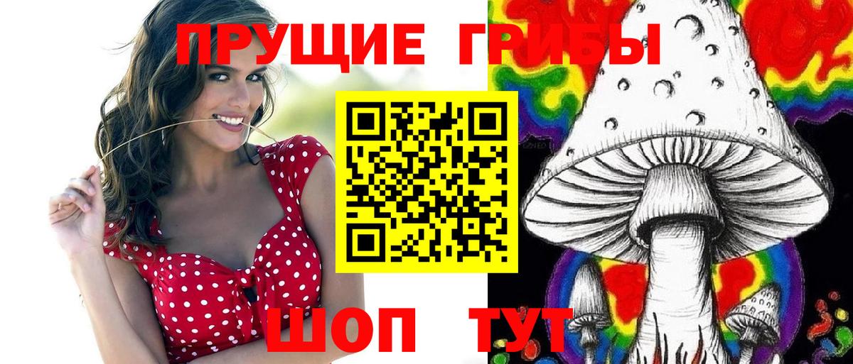 Галлюциногенные грибы мицелий Кандалакша